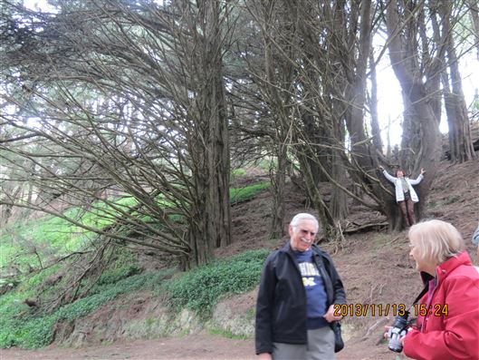 Click for large image