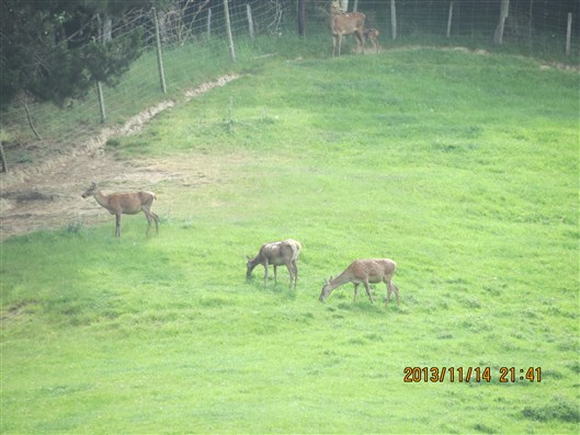 Click for large image