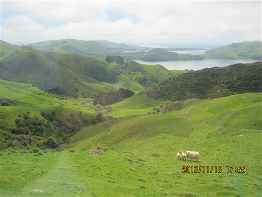 Click for large image