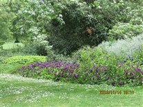 Click for large image