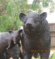 Click for large image