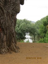 Click for large image