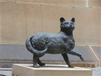 Click for large image