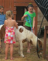 Click for large image