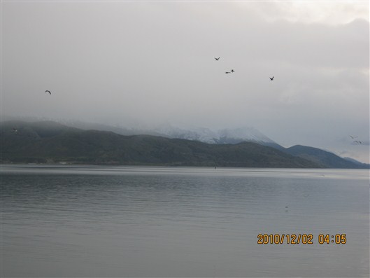 Click for large image