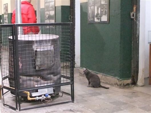 Click for large image