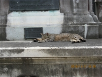 Click for large image