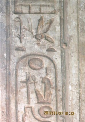 Click for large image