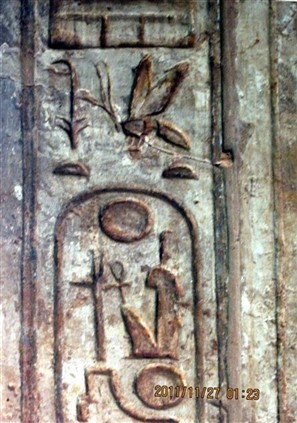 Click for large image