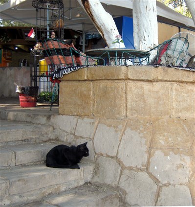 Click for large image