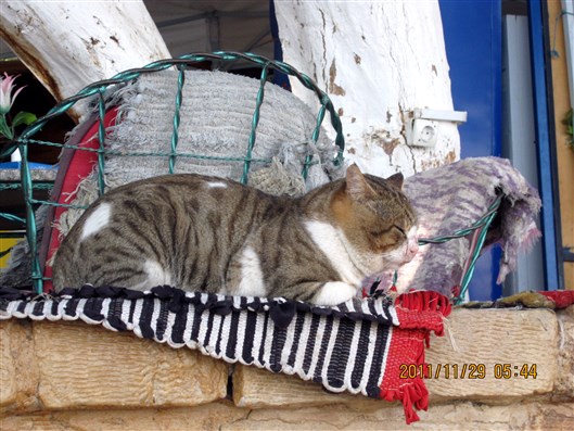 Click for large image