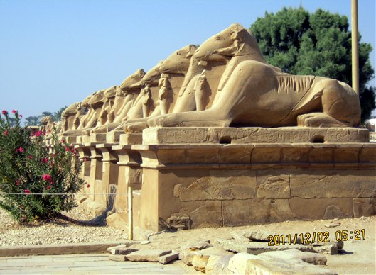 Click for large image