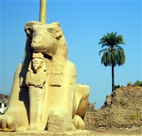 Click for large image