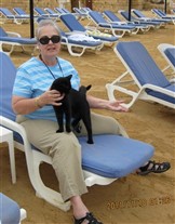 Click for large image