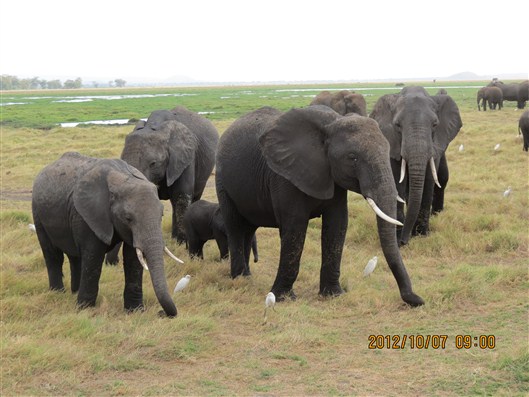 Click for large image