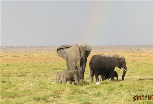 Click for large image