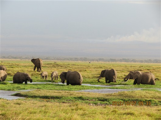 Click for large image