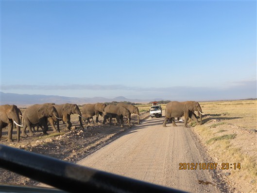 Click for large image