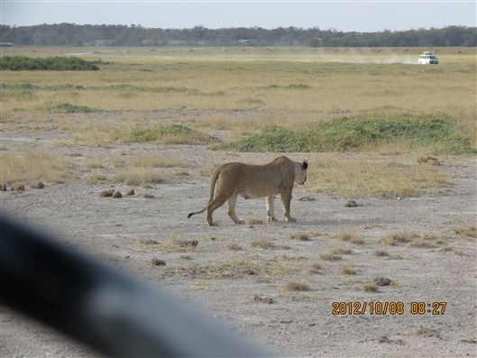 Click for large image