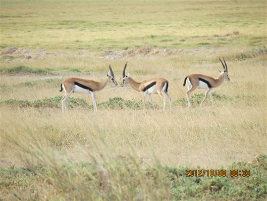 Click for large image