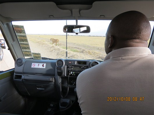 Click for large image