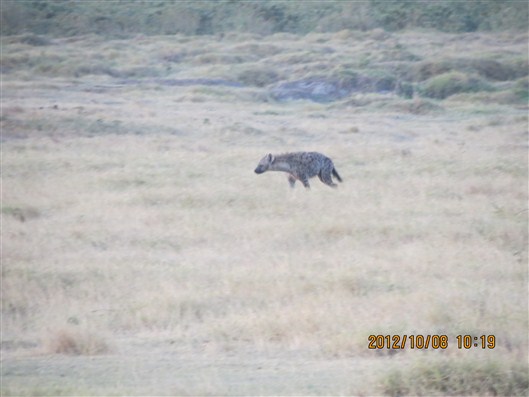 Click for large image