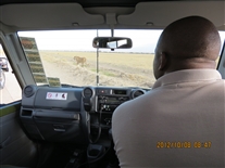 Click for large image