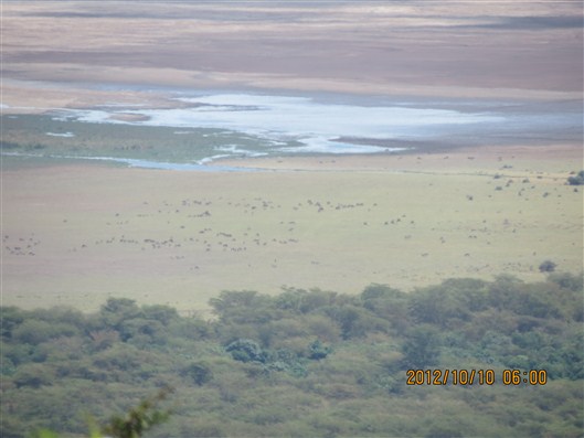 Click for large image