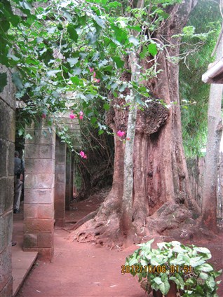 Click for large image