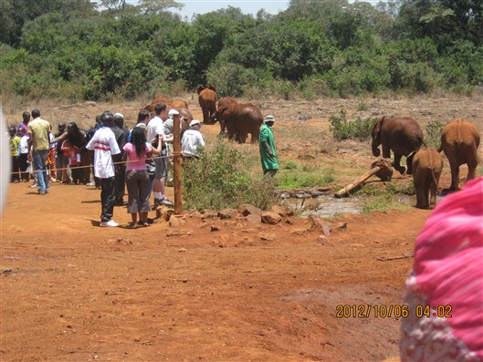 Click for large image