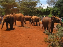 Click for large image