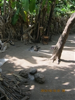 Click for large image