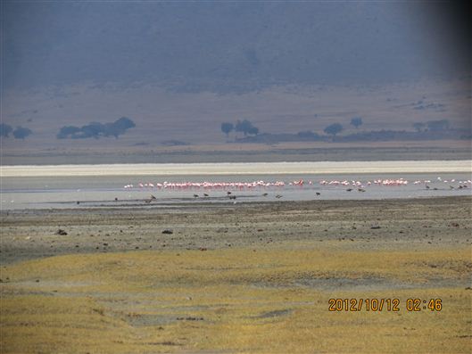 Click for large image