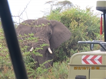 Click for large image