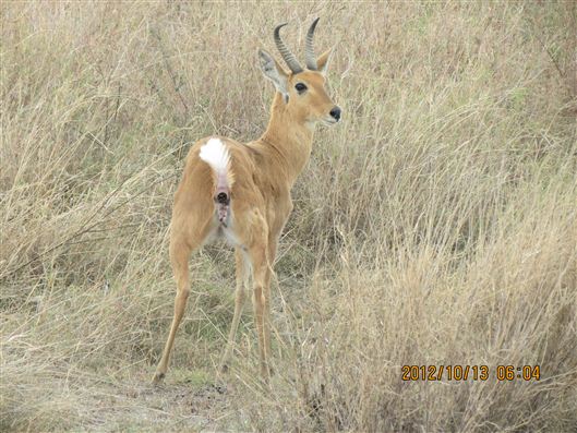 Click for large image