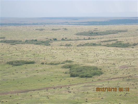 Click for large image