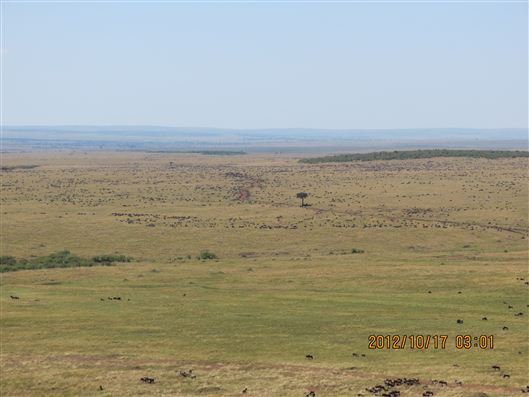 Click for large image