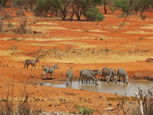 Click for large image