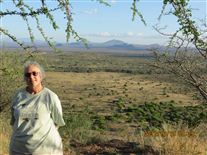 Click for large image