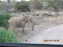 Click for large image