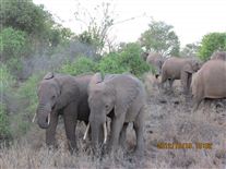 Click for large image